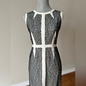 BCBG Cream with Black Lace Overlay Sheath Dress